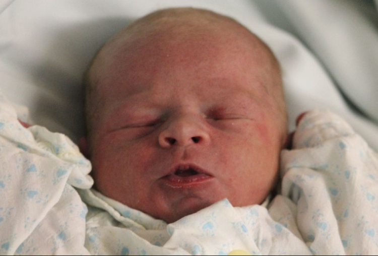 Horváth Miklós Mátyás