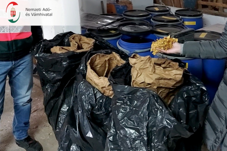 Összehangolt akcióban csaptak le