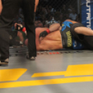 2015.05.09. Profi MMA Gála fotók:árpika