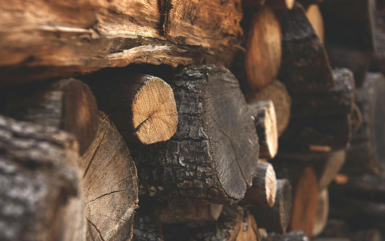 A hideggel megjelentek a tűzifacsalók – Vigyázzunk!