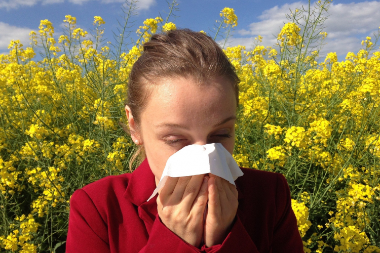 A meleg idő felerősítheti az allergiás tüneteket