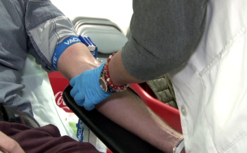 Sikeres évet zárt a Vöröskereszt