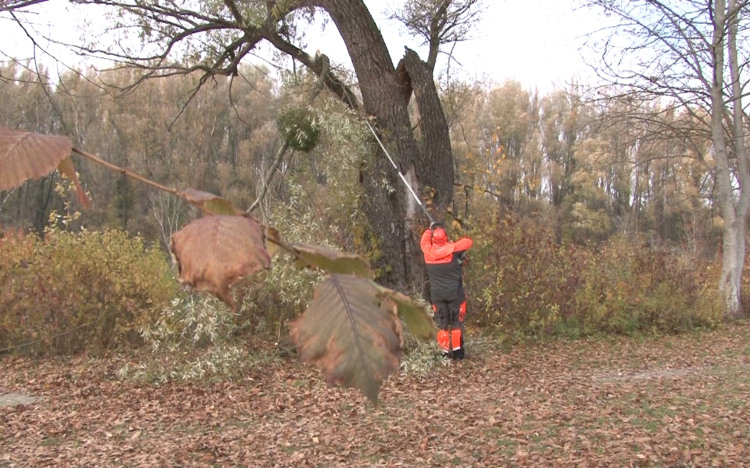 Békeidőben készülnek fel a bajra
