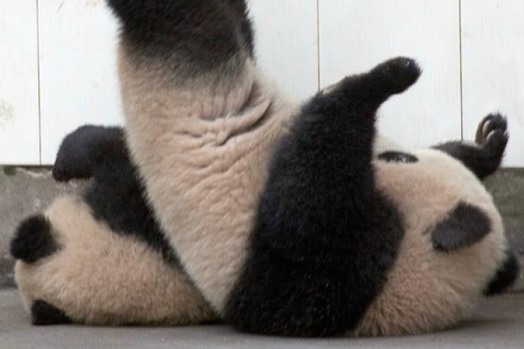 Olvadunk - A nap legtündéribb fotói 