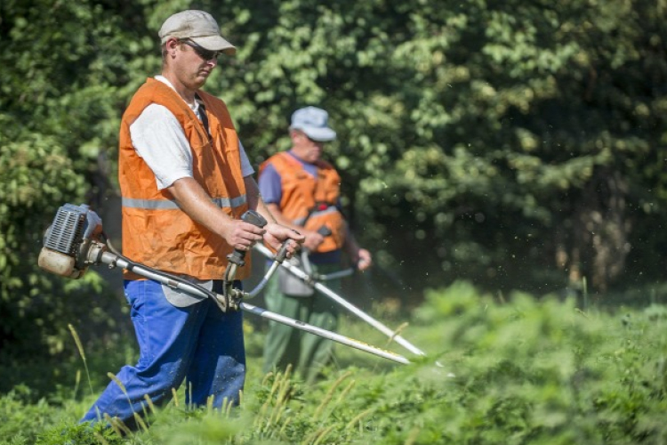 Már itt van az allergiaszezon és tombol