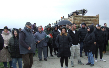 Nem Jánossomorjára, hanem Bábolnára viszik a lelőtt marhákat