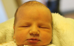 Stróbli Marcell Bence