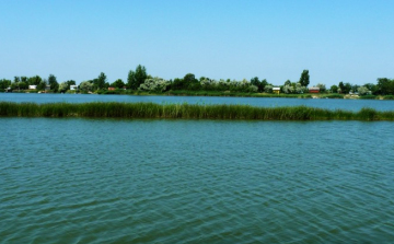 8 éves kisfiú fulladt bele az abonyi tóba