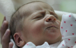 Barcsák Zóra Lilla 