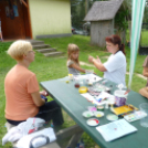 IV. Győri Szuperinfó Családi Piknik és Amatőr Horgászverseny Fotó: Novák Attila