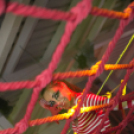 Club Mundo -  Made in Ibiza Show - SAILOR 2013.07.20. (szombat) (képek: Mundo)