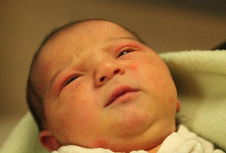 Nyári Brendon Dzsúlió 