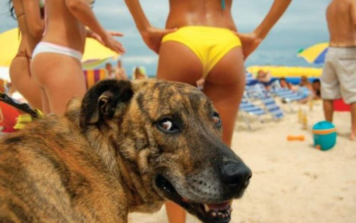 Közeleg a bikiniszezon, ezt látnod kell! 