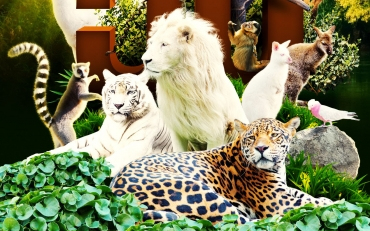 Május 1. Családi nap az állatkertben