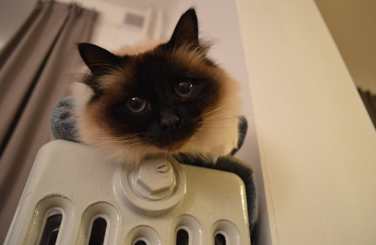 Fűtési szezon:  A baj megelőzhető