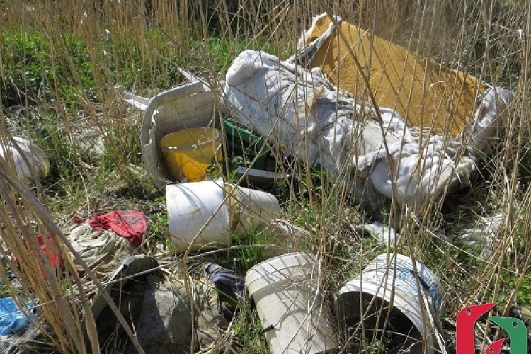 881 tonna illegálisan lerakott hulladékot szállítottak el a Fertő-partról