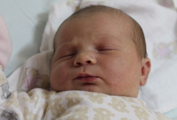 Juhász Dorka Anikó