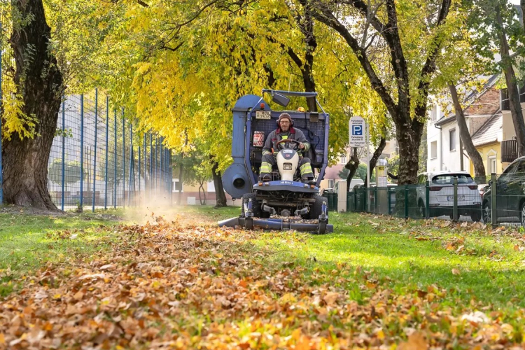 Megkezdődött a lombgyűjtés Győrben