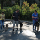 2013.06.23.Vasárnap SzFeszt 4.nap Fotók.árpika