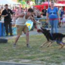 2013.06.23.Vasárnap SzFeszt 4.nap Fotók.árpika