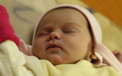 Kálmán Dzsesszika Kira