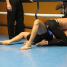 2013.02.16.Szombat Profi MMA És Box Mérkőzés Fotók:árpika