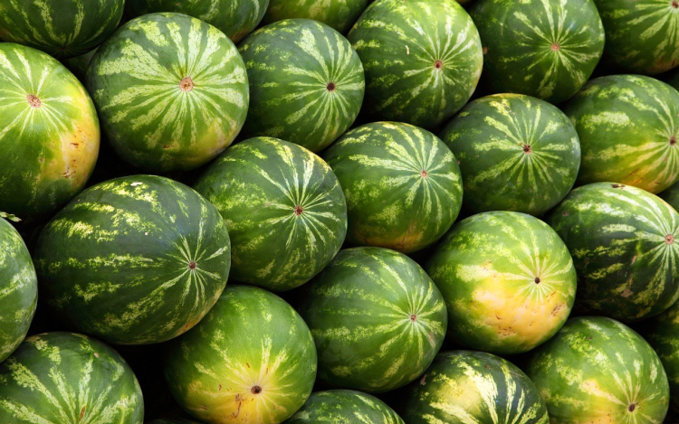 Beindult a dinnyeszezon