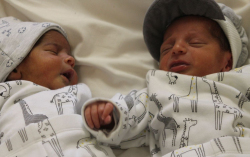 Sztojka Enrikó és Andzseló