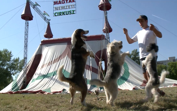 Újra Győrben a Magyar Nemzeti Cirkusz