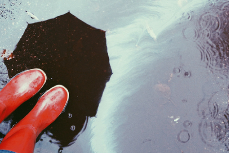 Időjárás-jelentés