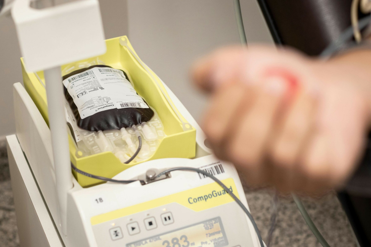 Vénaszkennert „lőttek” a vadászok