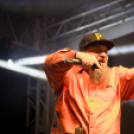 RómerKvelle 2015 - Irie Maffia _ photo Gombás Ákos