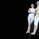  2016.03.19 Audi Aréna Omega és az ExperiDance musicel Fotók:árpika