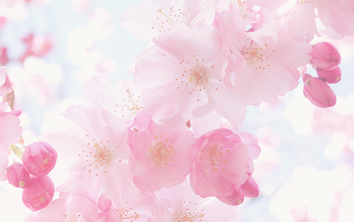 Itt a tavasz - Napsütéses idő lesz a héten 