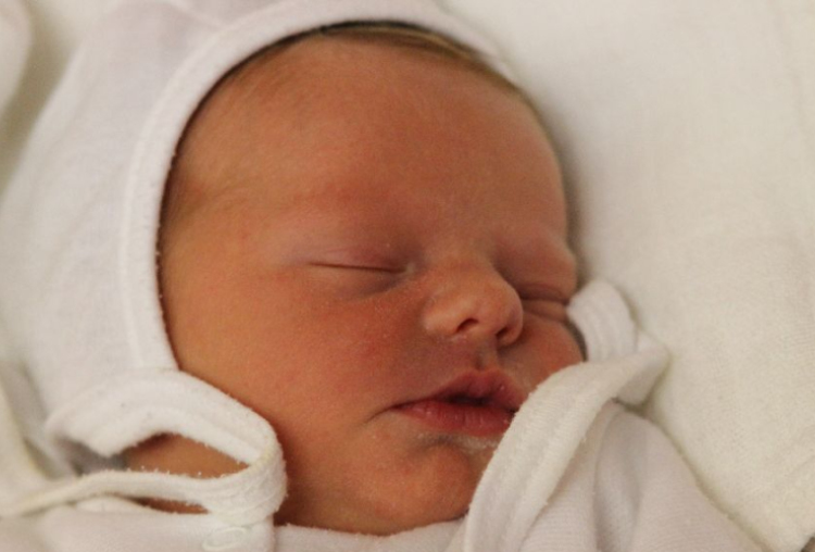 Zsellér Zsóka Anna 