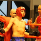 2013.03.31 Szombat IV.KOKO-GYM Küzdősport gála (1) fotók:árpika