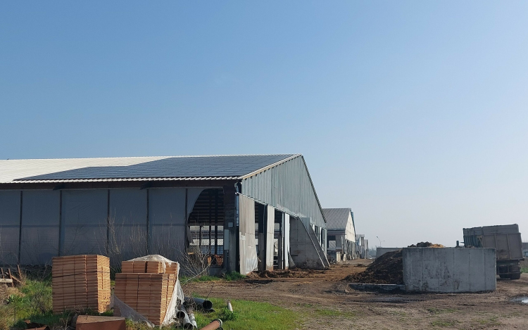 Elkezdődött a levéli marhatelep felszámolása