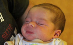 Hajós Andzseló Szelim 