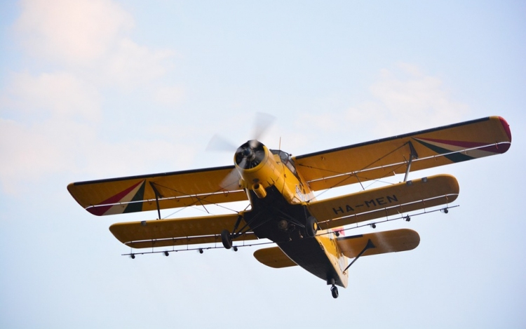 Ismét szúnyoggyérítés lesz