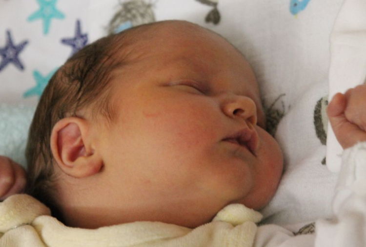 Horváth Máté Dániel