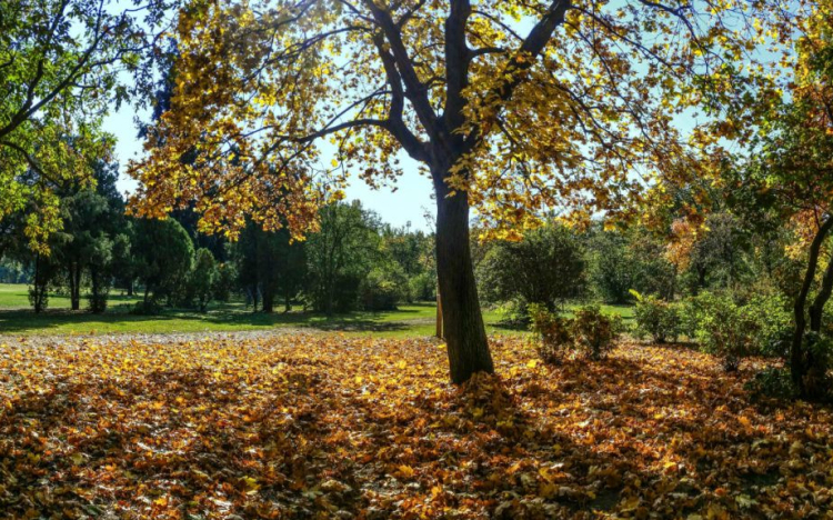 Kora nyári idő jön a késő őszbe