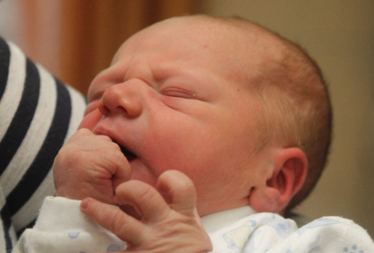 Vida Nándor Zoltán 