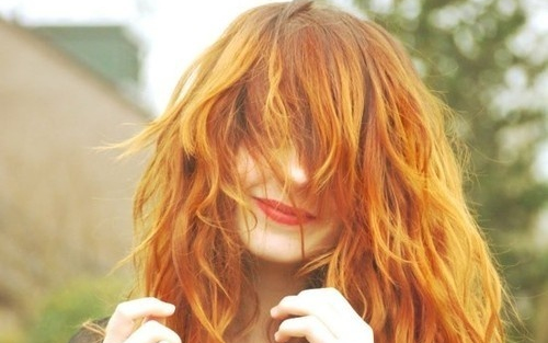 Vöröshajrekord dőlt meg Hollandiában