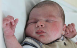 Viczina Tamás Ármin