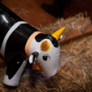 Lapos 2013.02.22. (péntek) (2) (Fotók: K. Balázs)