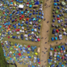 Best of Volt Fesztivál II.