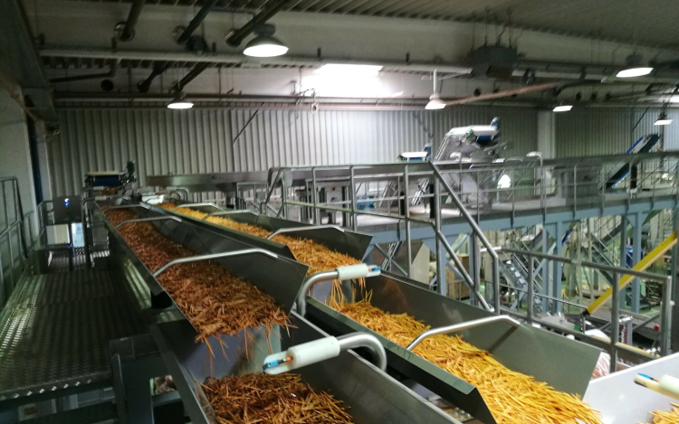 Nem hiszed el, mennyi ropogtatnivalóval árasztja el Európát a győri gyár