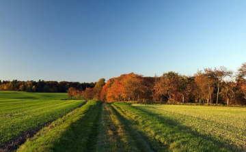 Akár 20 fok is lehet a héten