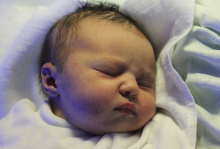 Streichanovecz Viktória 