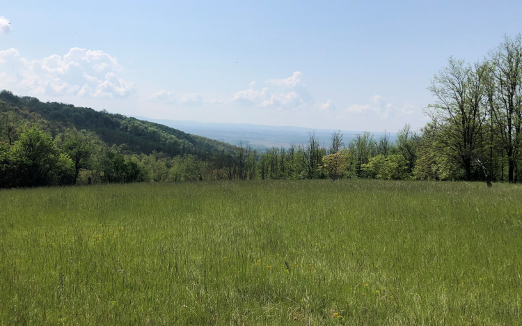 Természeti kincsekben gazdag Kajárpéc